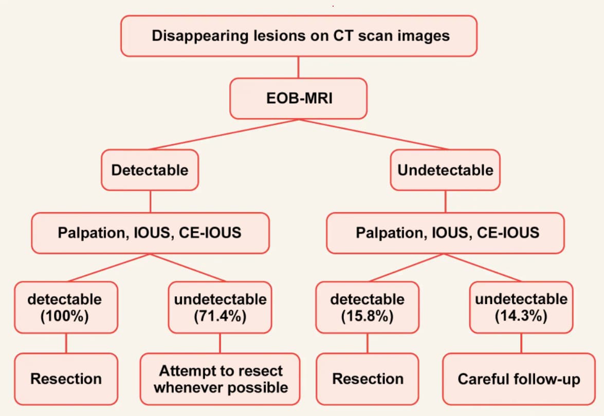 Fig. 1 Algorithm for the treatment of Disappearing Liver Metastases1)
